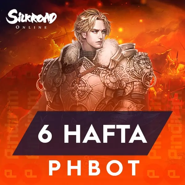 Silkroad phBot 6 Hafta